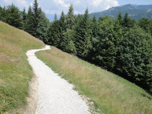 Ein neuer Weg führt die letzten Meter zum Berggasthof Hoisenradalm empor.