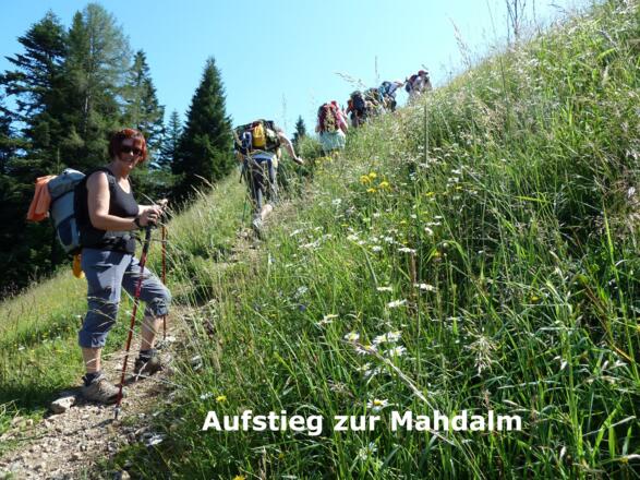 Aufstieg zur Mahdalm