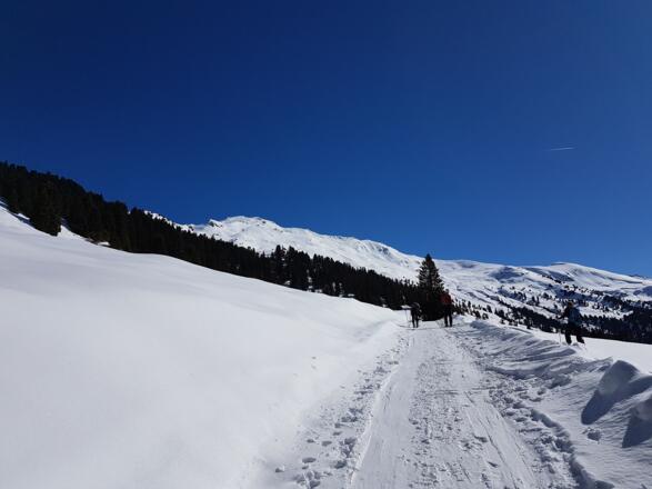 Aussicht auf den Gilfert