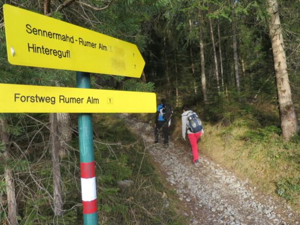 Von der Forststraße zur Enzian Hütte und Rumer Alm zweigen wir rechts ab auf den "Sennermahd"-Steig.