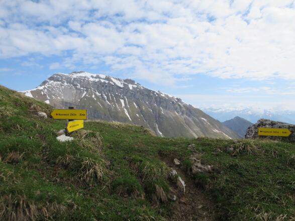 Hier der markierte Steig der vom Padasterjochhaus aus erreicht wird. Im Hintergrund die Kesselspitze.