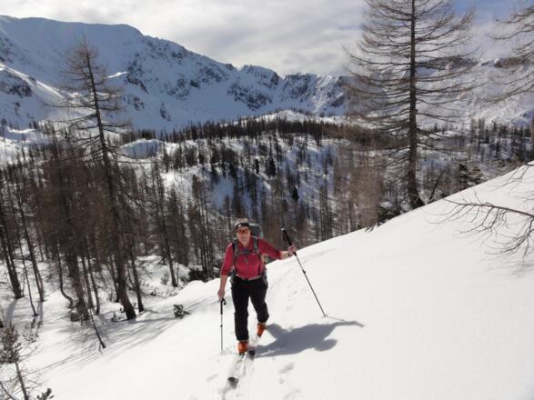 südseitiger Gipfelhang - hinten der Schrockengrat