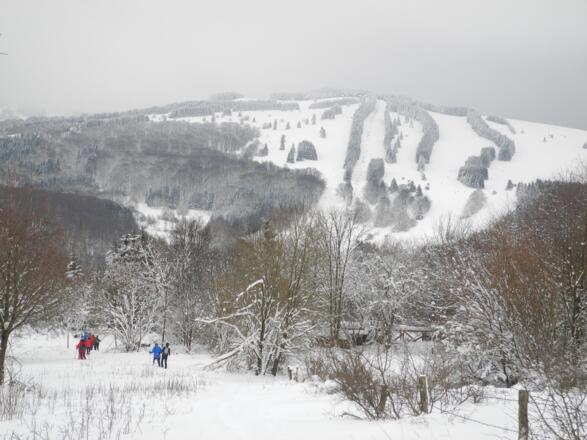 Schneeschuhwandern am Himmeldunkberg