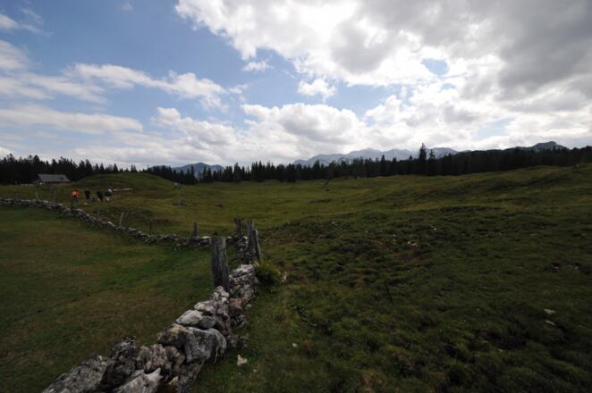 Der riesige Almboden der Plankensteinalm