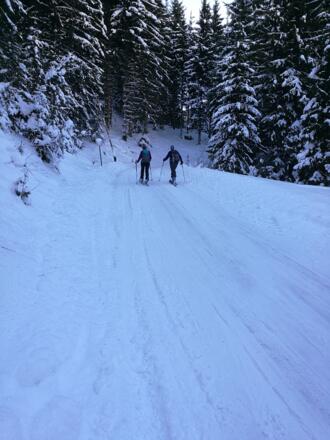 langer Forstweg