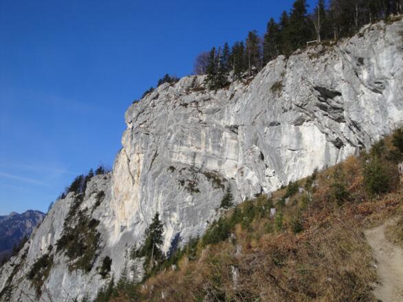 Beim Fußabstieg kommt man am oberen Teil der "Ewigen Wand" mit vielen Kletterrouten vorbei.