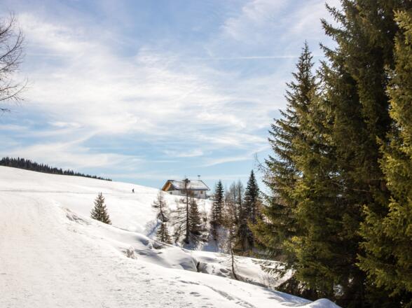 Kurz vor der Alpe Nemes Hütte geht man nördlich (links) hinauf.