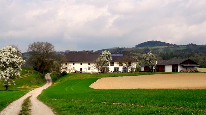 Hof ~315m mit Hamberg