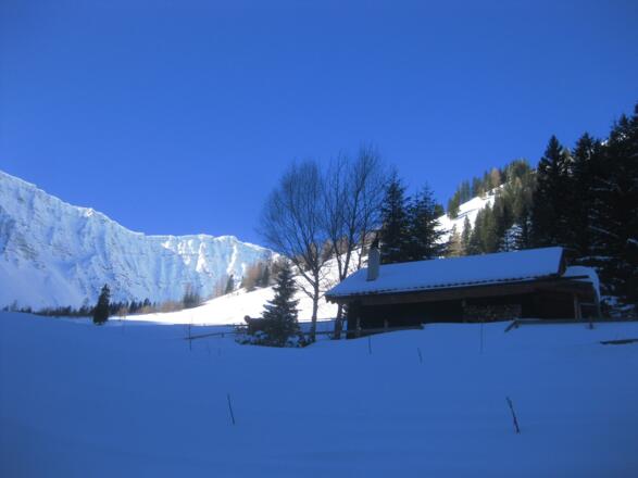 Gartner Alm (1399 m)