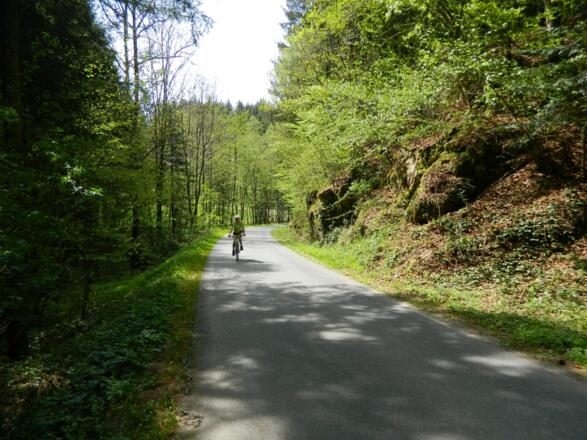 am Güterweg Steinreithmühle
