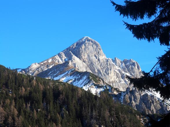 1230m, das Gipfelziel von der Wegverzweigung Rohrauerhaus