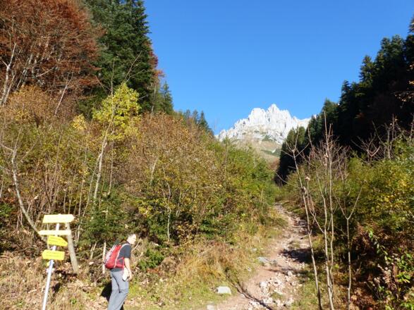 Die Felsgipfel des Wilden Kaisers grüßen herunter.