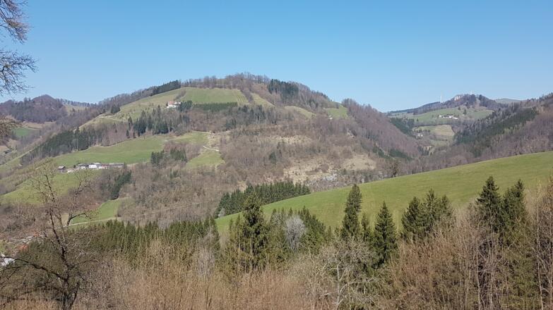 Herrlicher Ausblick auf den Gschwandtnerberg