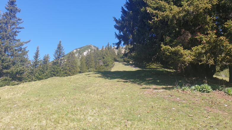 Über den Wiesenrücken hinauf zum Kreuzjöchl