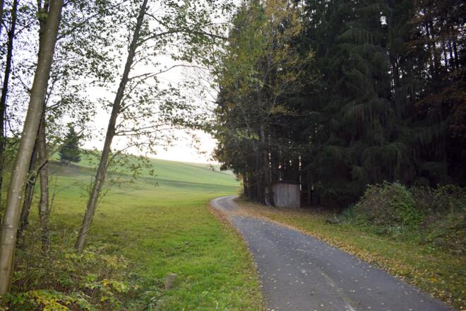 Weg in Richtung Kropfhammer