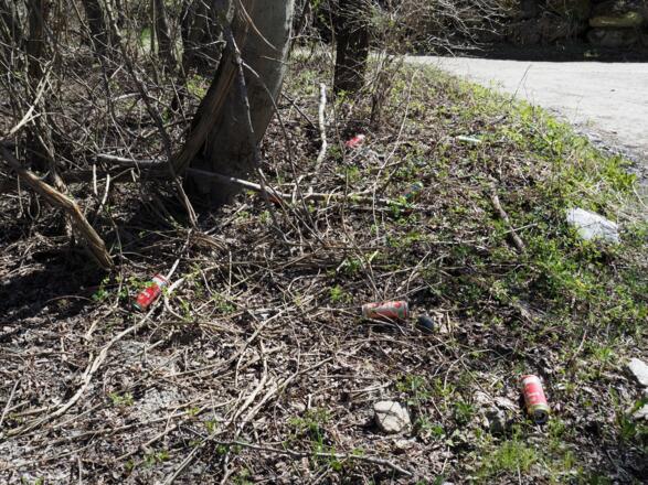 ...wenn der Mensch nicht alles vermüllen und kaputt machen würde...