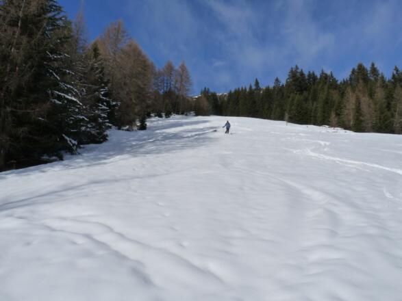 Häufig hat man die Wiesenhänge für sich allein.