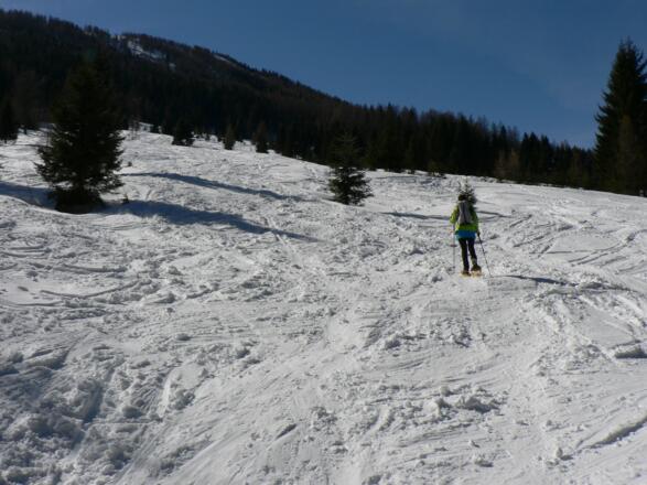 Über die schönen Wiesenhänge unterhalb des Hochsurs geht es Richtung Inselbacher Alm