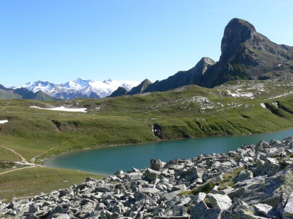 Gösslswand, Bödensee und Großvenediger.