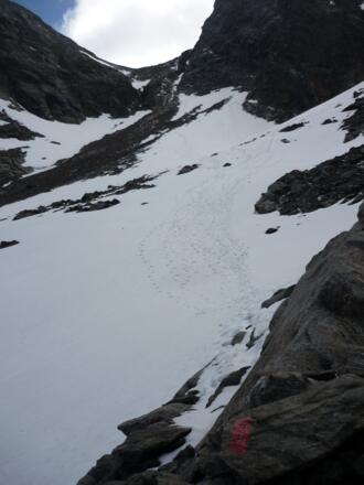Das Schneefeld