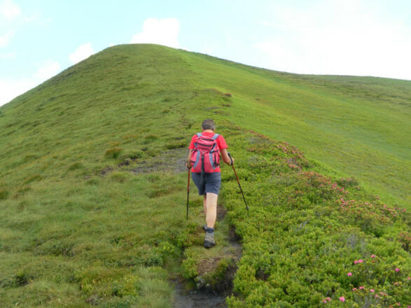 am Südrücken zum Gipfel