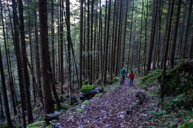 Der Weg steigt sanft an