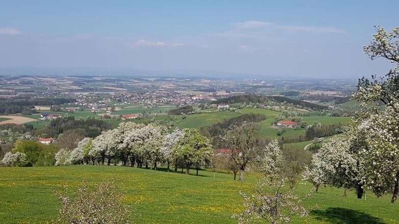 Blick nach Seitestetten zum "Vierkanter Gottes" (Stift Seitenstetten)