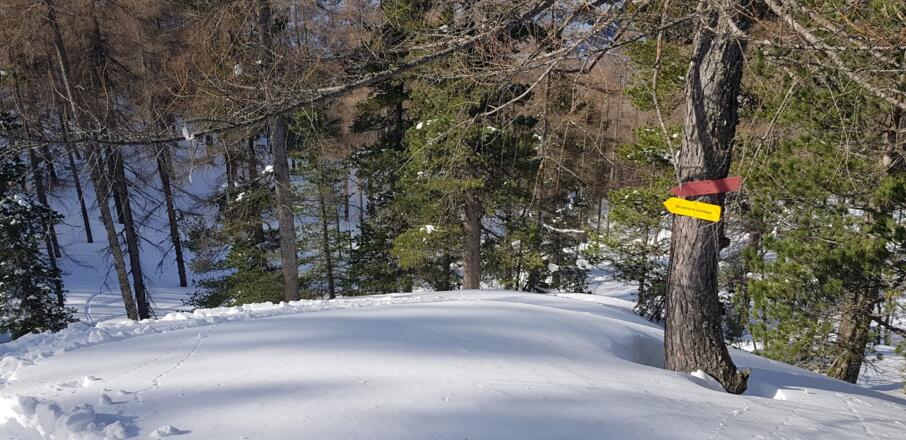 Diese Schilder sind zu finden und ihnen sein zu folgen!