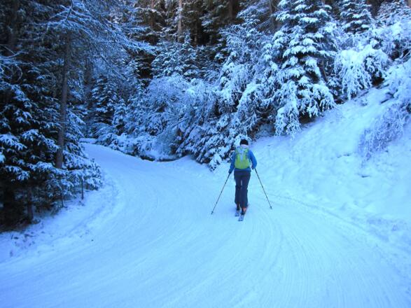 Gemütlicher Start entlang der Rodelbahn zur Sattelalm.