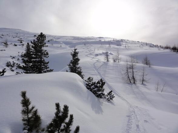 Angerkogel Nordhang von der Angeralm