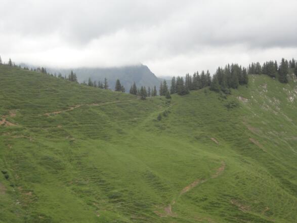 Das Gumpener Grätle 1820 m