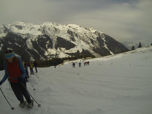 Blick zurück zum Waldrand mit dem Aufstieg auf der Forststraße.