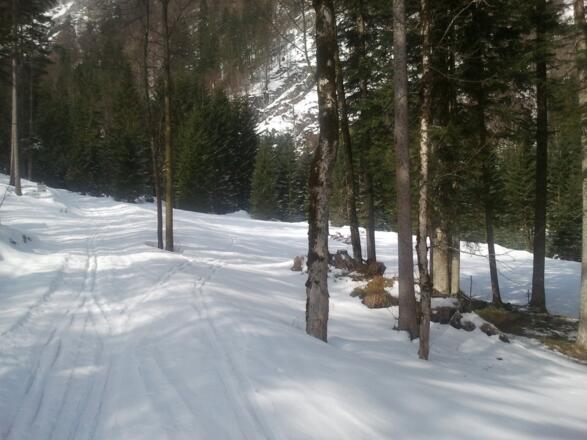 Die Lichtung mit der Abzweigung ins Wassertal