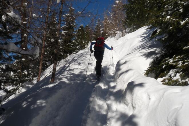 Der Anstieg hinauf zur den Kasermähderalmen ist zwar kurz aber durchwegs steil.