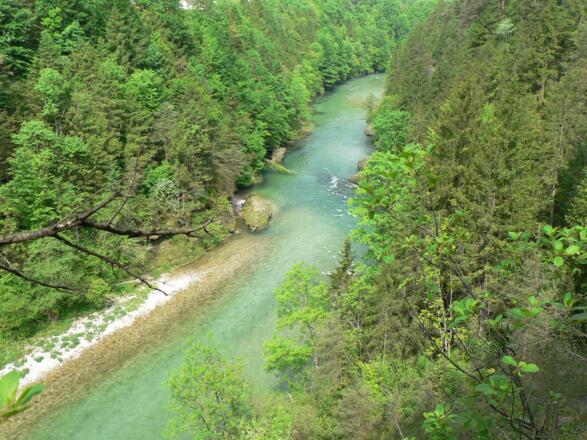 ... mit wunderschönen Tiefblicken in das Flußparadies der Steyr