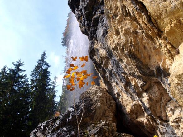 Schleier-Wasserfall Ost