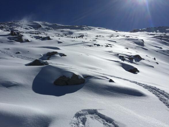 Der ca 30 Grad steile Nordhang ist erreicht, man hält nun auf den sichtbaren Wegweiser in der Scharte zu