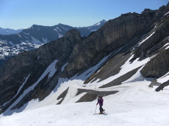 Herbertspitze