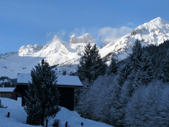 Nach dem Steilaufschwung auf der Rodelbahn, erreichen wir die Almflächen der "Vollspora" mit dem Blick auf die grandiose Drusenfluh.