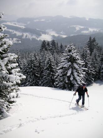 Almwiesen