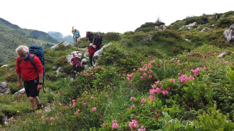 Kurz vor dem Schweizertor