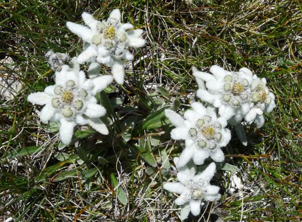 Immer wieder schön zu finden