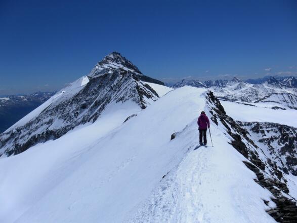 Zurück zur Schneewinkelscharte; dahinter Romariswandköpfe, Teufelskamp Glocknerwand und Großglockner