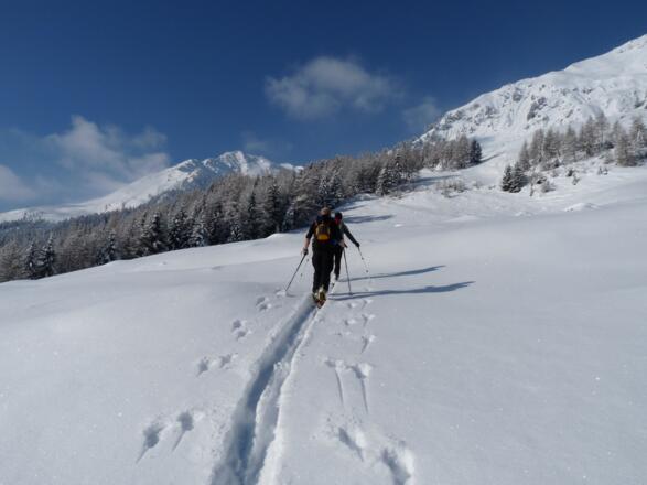 Wunderschönes, kupiertes Gelände, welches zum Hochleger der Wazalm führt.