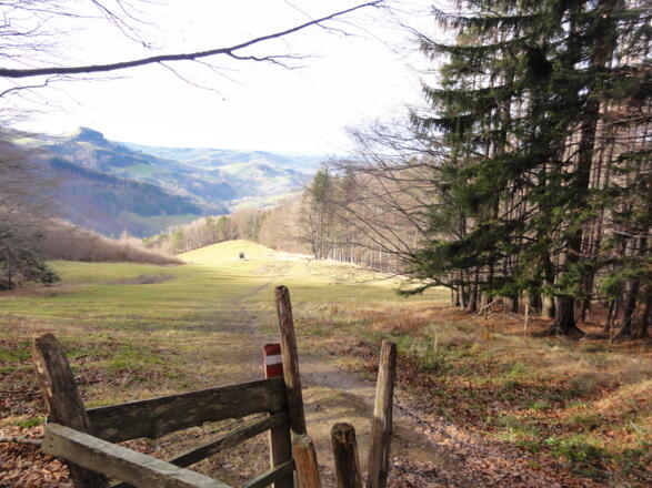 Weide unterhalb des Damberges