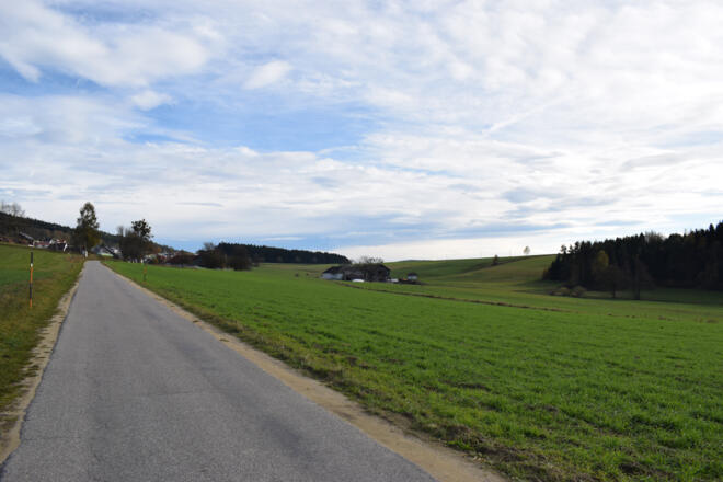 Rückweg nach Grünbach