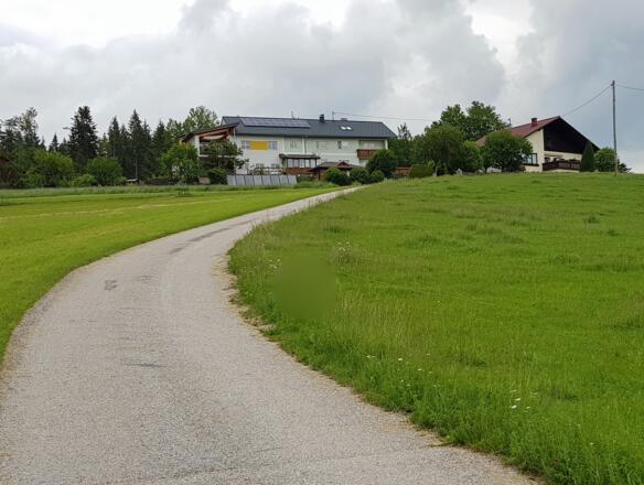 Arnberg der Weg zur Karolinenhöhe.