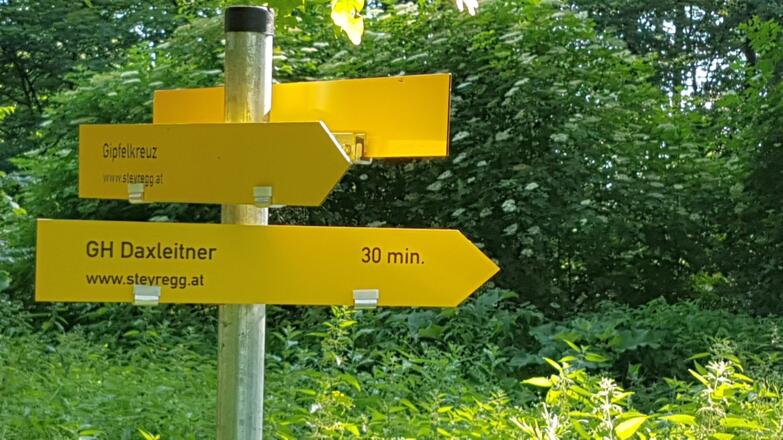 3 Buchen Kreuz 604 m, von hier ein 10 min Abstecher zum Pfenningberg