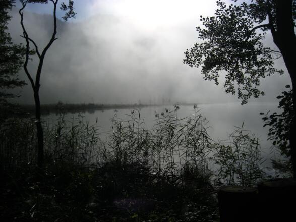 Die Nebelschwaden am Offensee lichten sich.