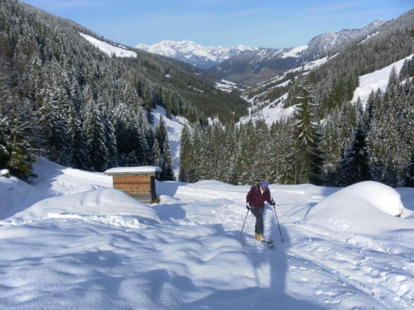 Abkürzung der Rodelbahn im Luegergraben